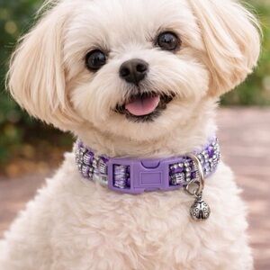 Handmade Beaded Dog Collar Purple Iridescent Beads Ladybug Charm